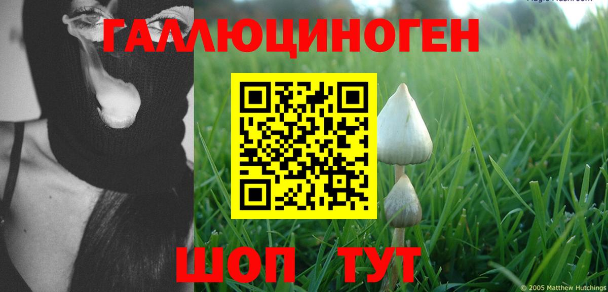 Альфа ПВП Дербент
